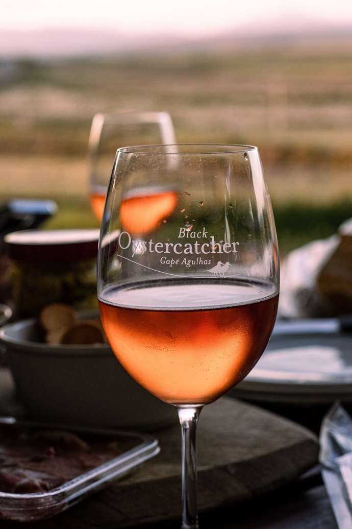 Black Oystercatcher Wines Glass of wine at Black Oystercatcher Winery