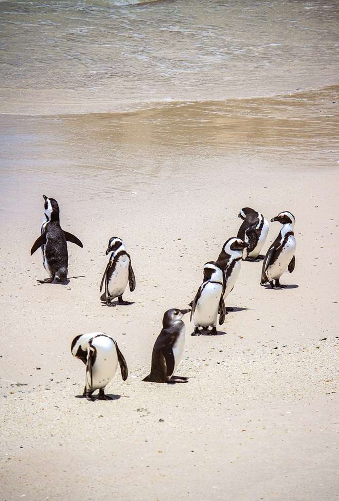 2-week Namibia itinerary