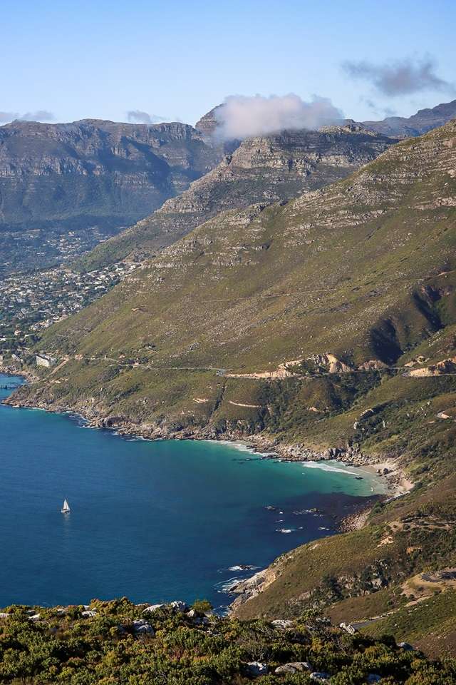 Bettys Bay Penguin Colony