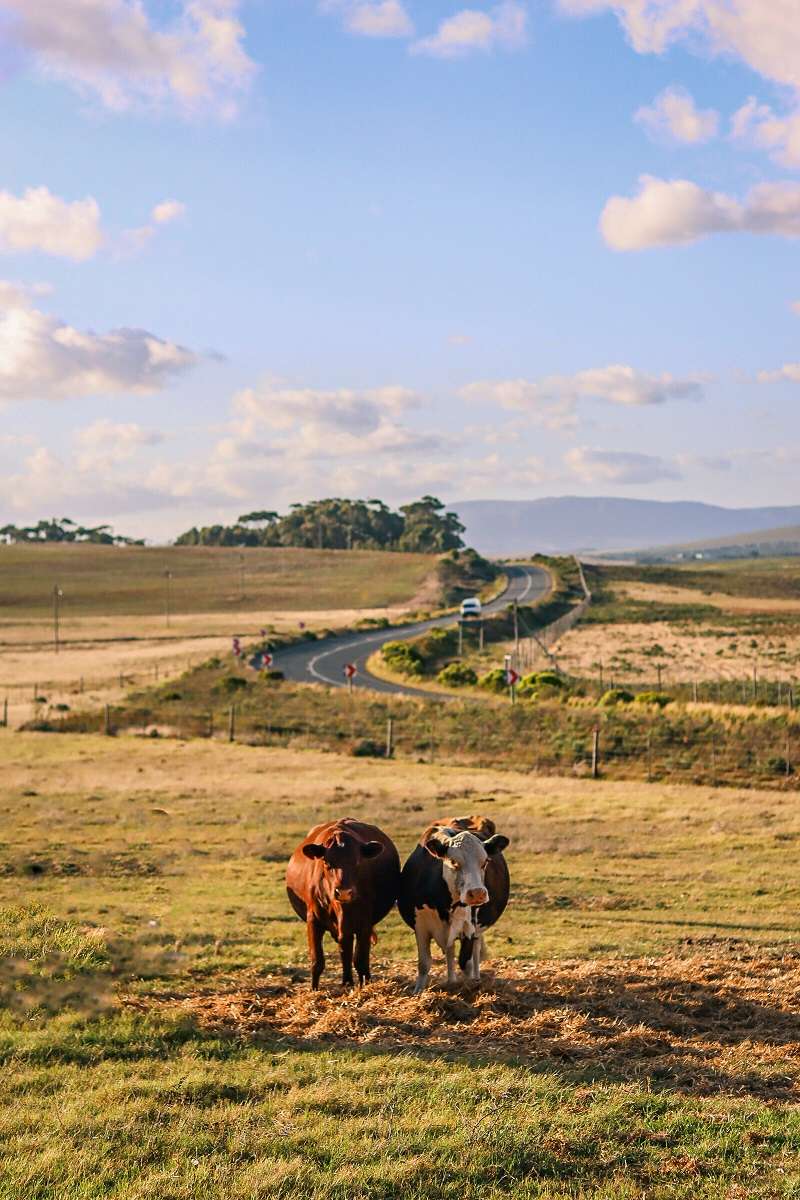 2-week Namibia itinerary