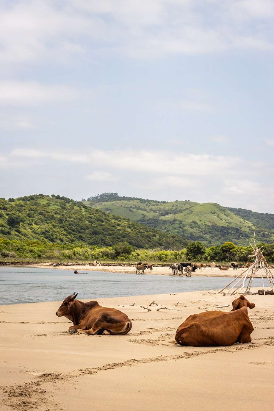 2-week Namibia itinerary