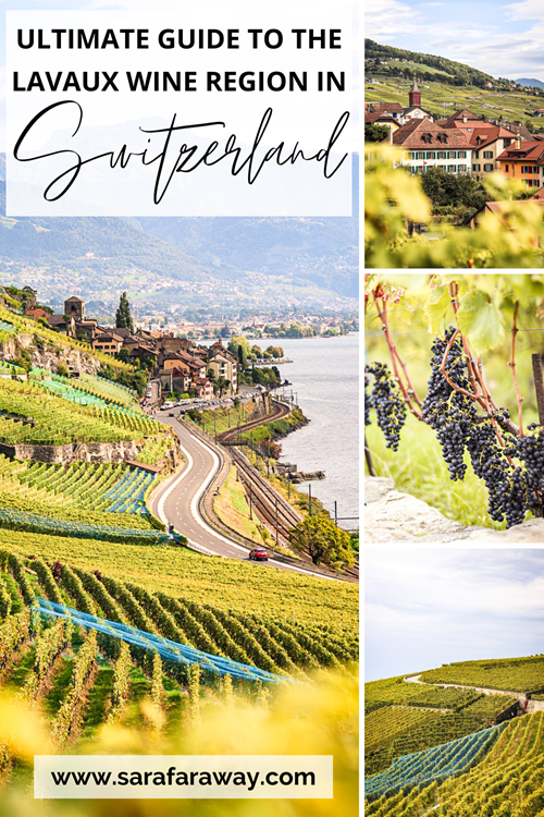 Hiking the Swiss Wine Trail 4 Hiking the Swiss Wine Trail in Lavaux