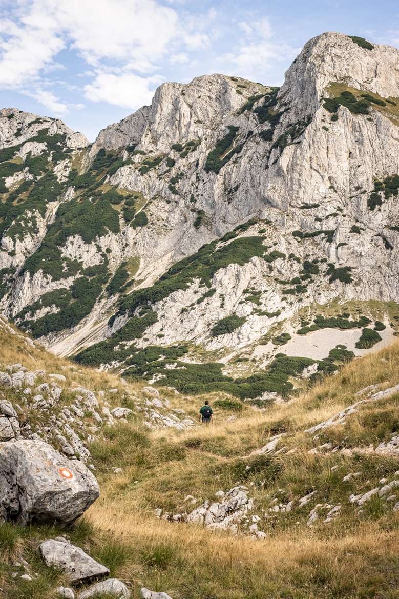 A hiker in front of impressive mountains