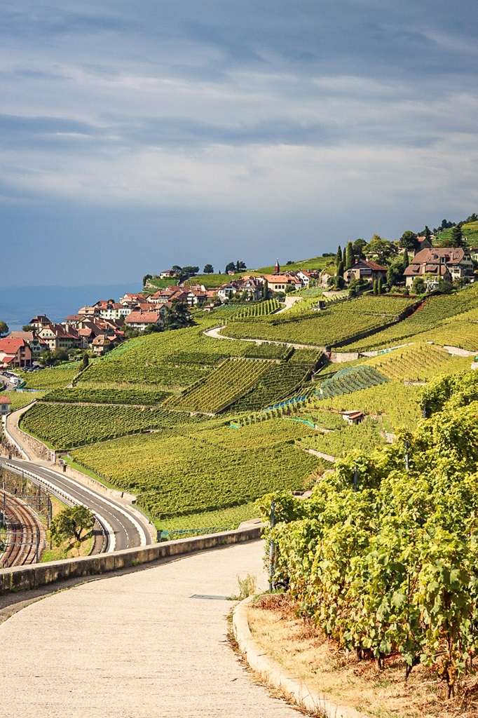 Lavaux Wine Region in Switzerland 3 Hiking the Swiss Wine Trail in Lavaux