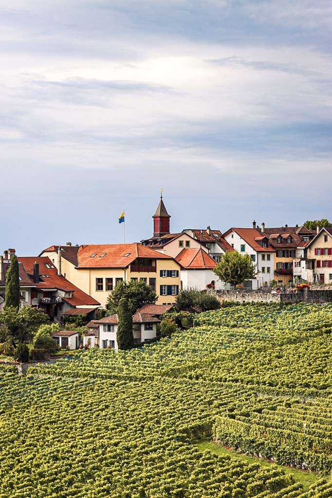 Lavaux Wine Region in Switzerland 4 Hiking the Swiss Wine Trail in Lavaux
