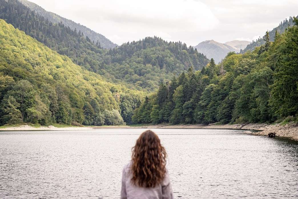 A lake surrounded by forests