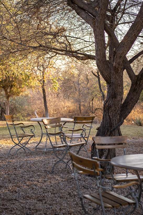 Mushara Outpost in Namibia 9 2-week Namibia itinerary