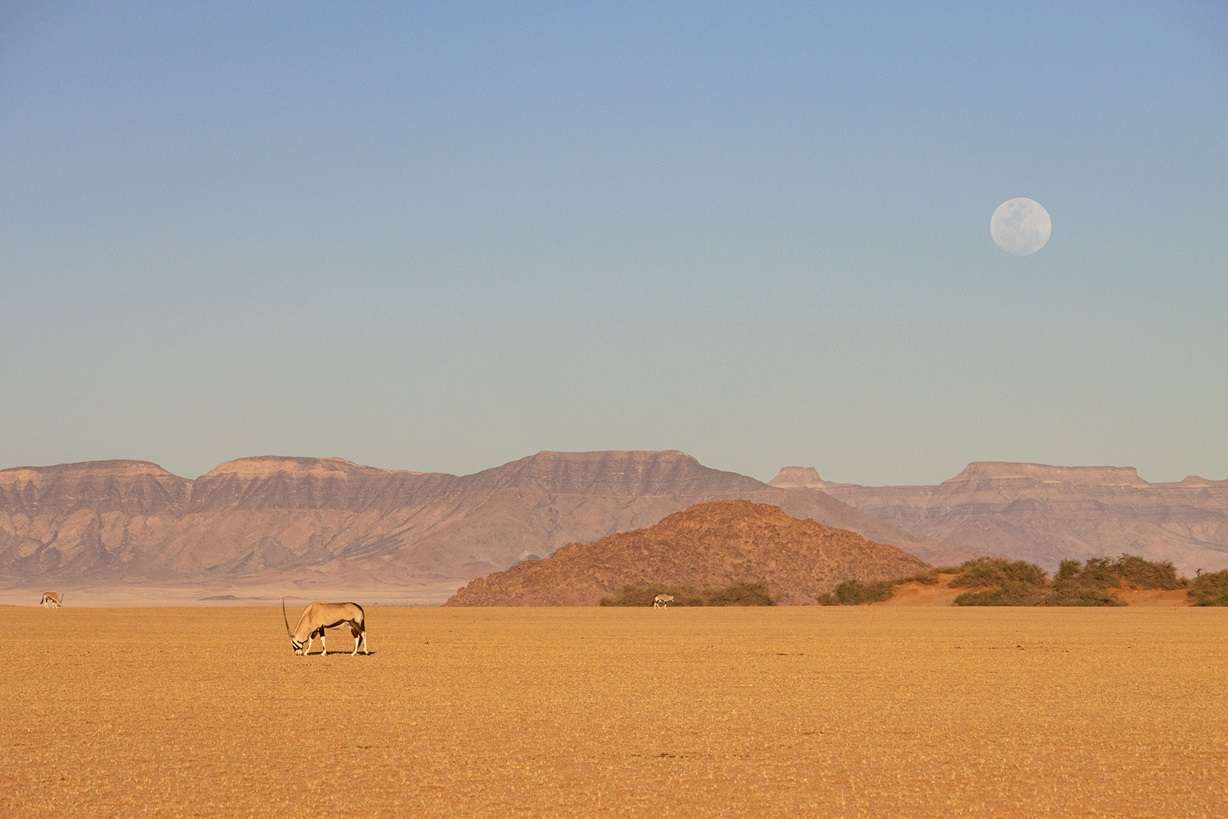 Namib Naukluft National Park in Namibia