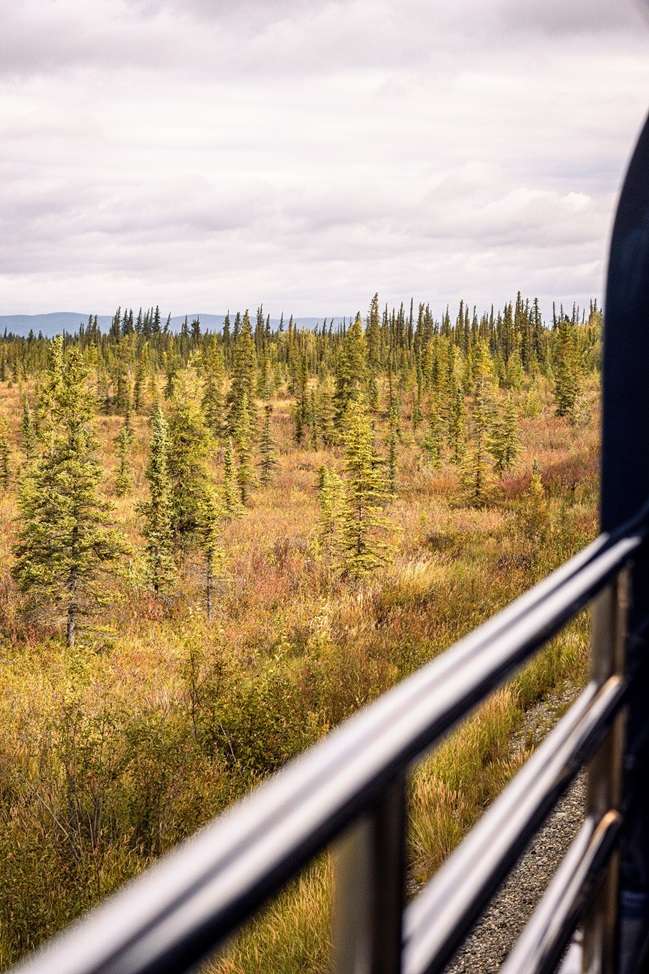 Railway riding past trees