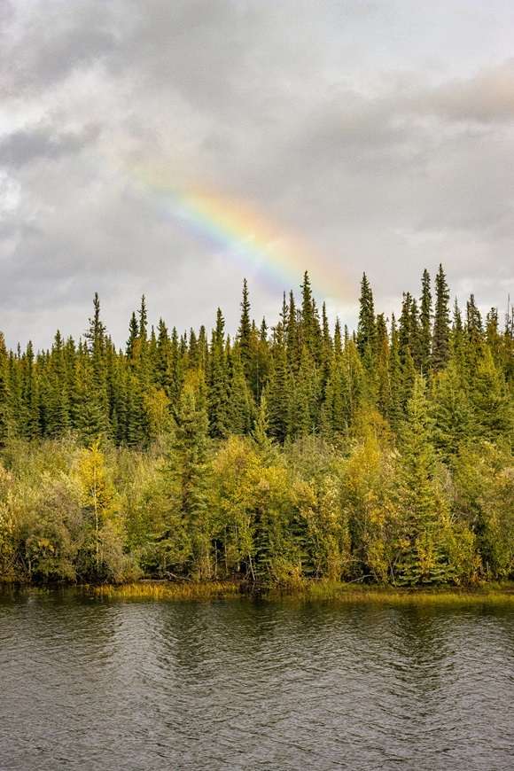 Rainbow above a forest
