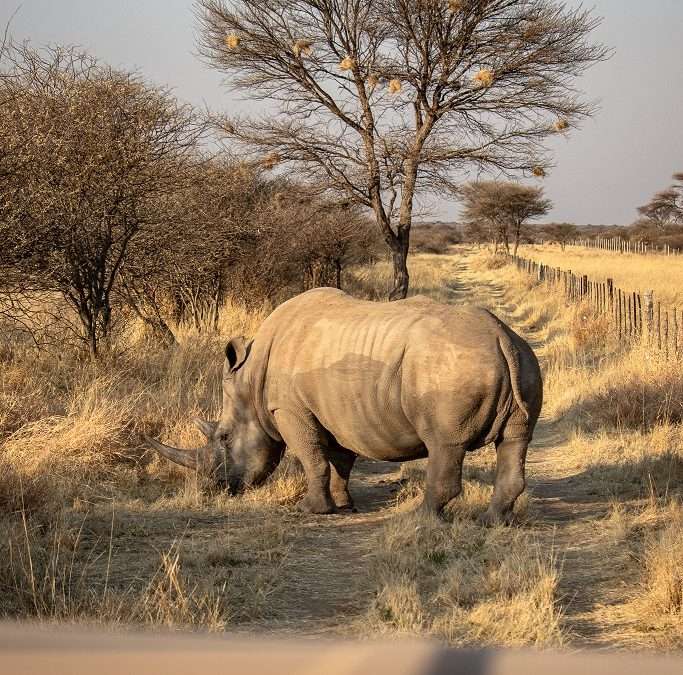 Why you should add Waterberg Wilderness to your Namibia Bucket List