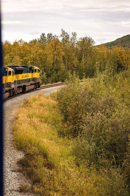 Railway riding past trees
