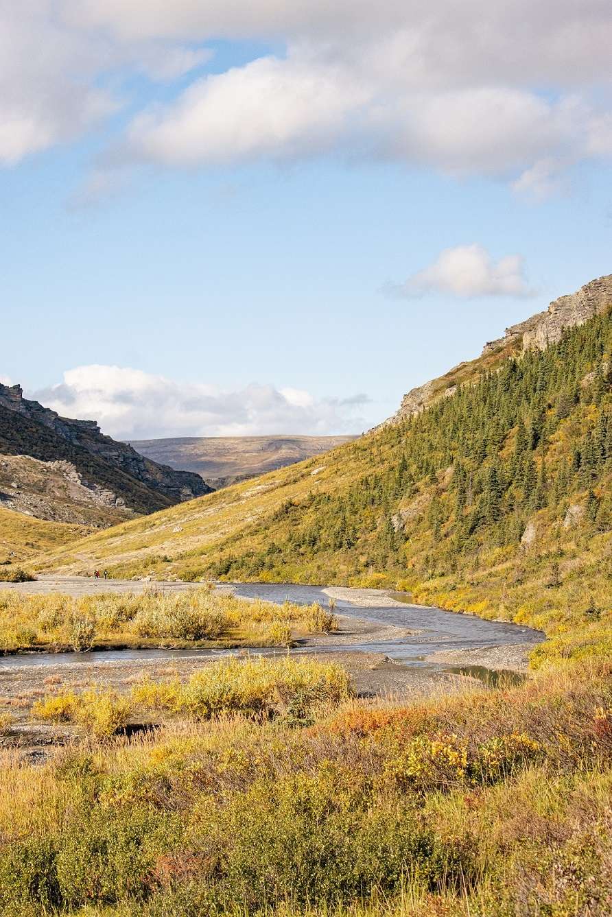 River running through Denali National Park