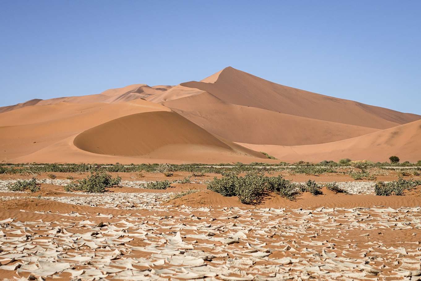 Sossusvlei Big Daddy Dune