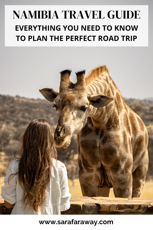 The ultimate Namibia road trip guide 2 2-week Namibia itinerary