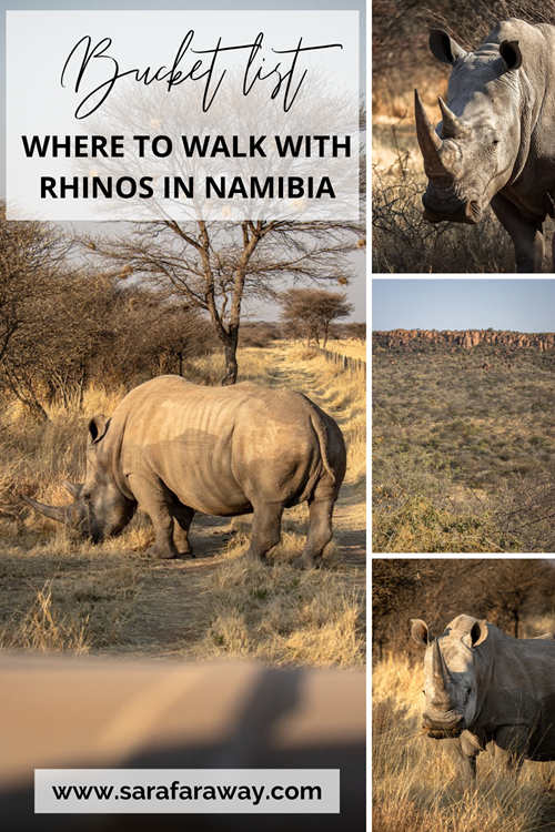 Ultimate guide to visiting Waterberg Wilderness in Namibia 2-week Namibia itinerary