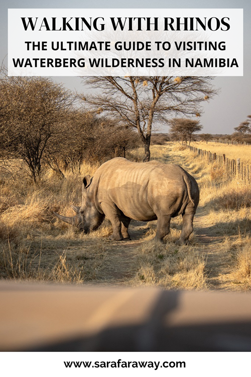 Ultimate guide to visiting Waterberg Wilderness in Namibia 2 2-week Namibia itinerary