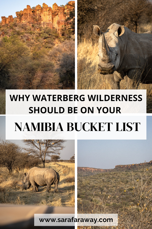 Ultimate guide to visiting Waterberg Wilderness in Namibia 3 2-week Namibia itinerary
