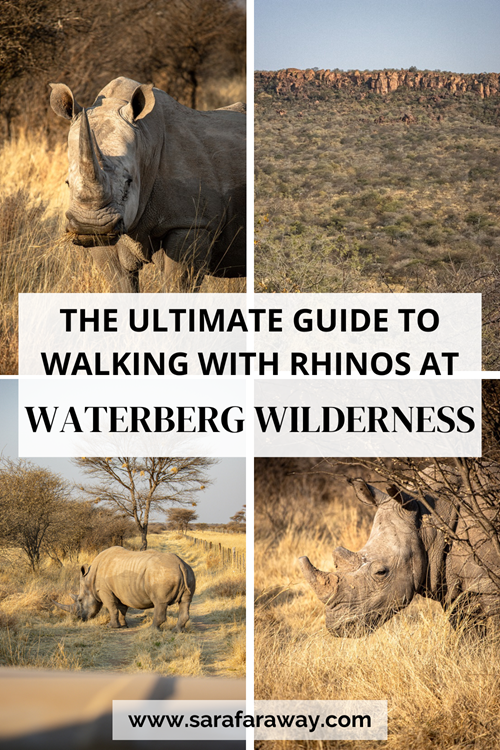 Ultimate guide to visiting Waterberg Wilderness in Namibia 4 2-week Namibia itinerary