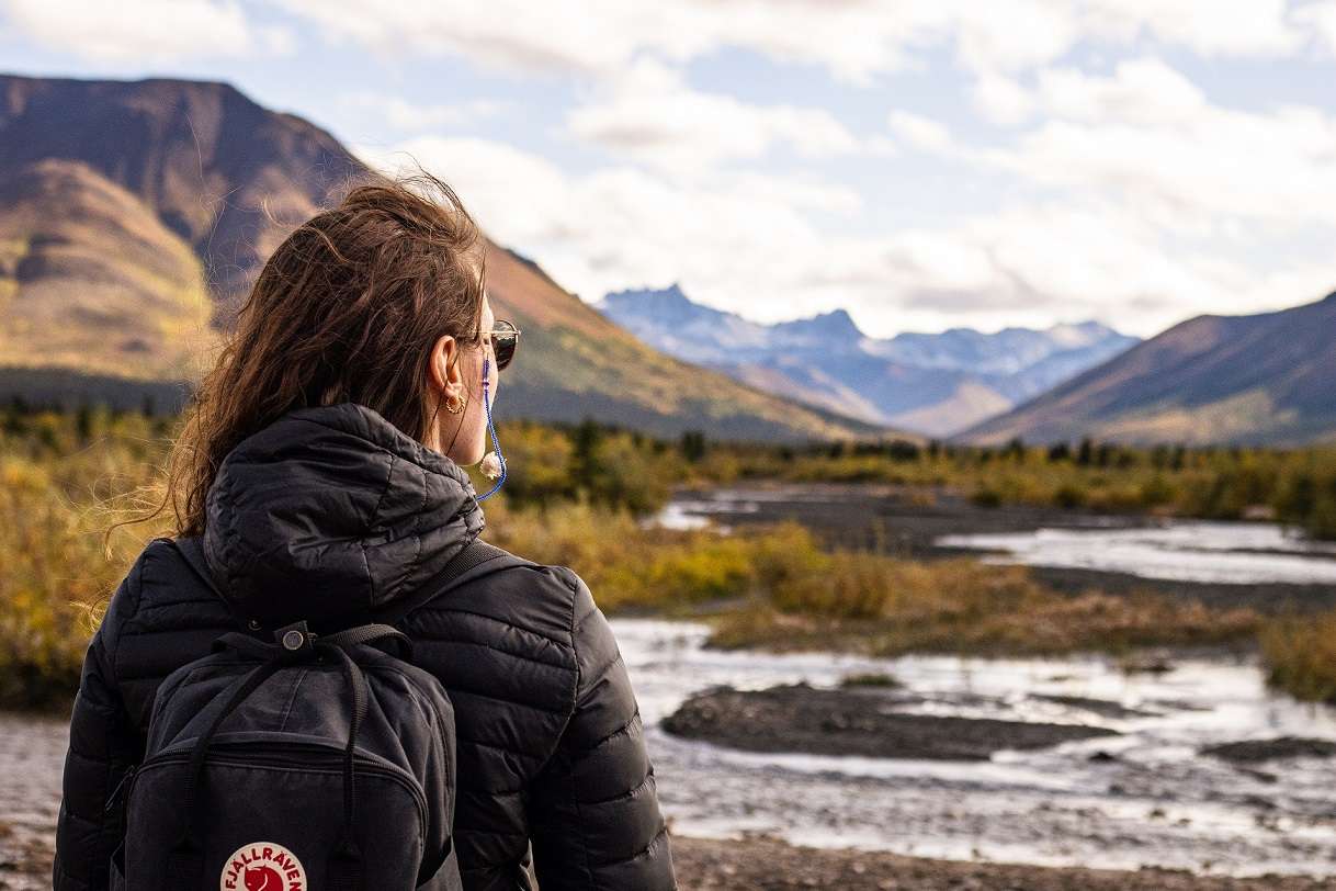 Looking out into Denali National Park