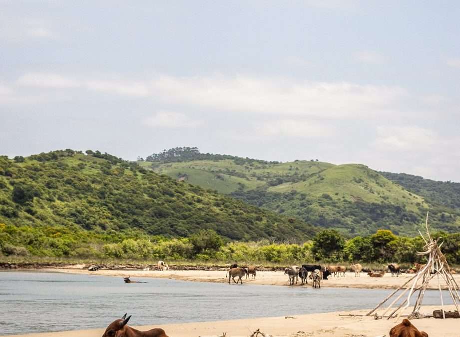 Everything you need to know about visiting South Africa’s Wild Coast
